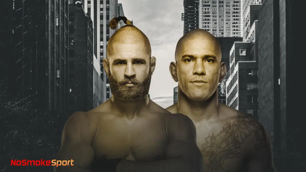 UFC 295 Live Results: Prochazka vs. Pereira