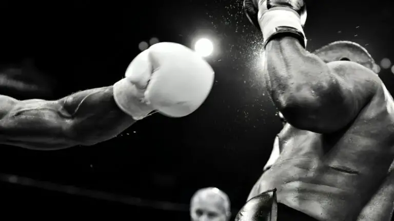 Horse Racing vs Boxing: Which Sport Has More Spectators?