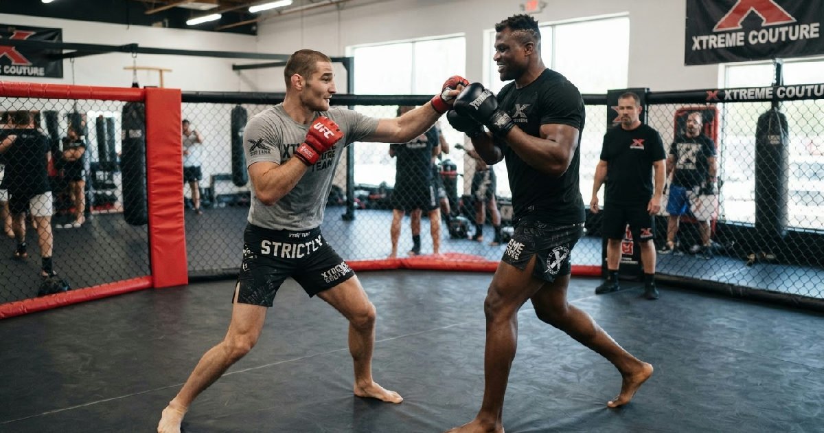 Sean Strickland sparring Francis Ngannou: Sean Strickland Sparring With Francis Ngannou